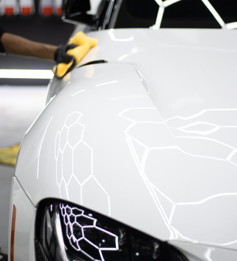 HighQuality Paint Decontamination Tampa Kanpeki Detailing